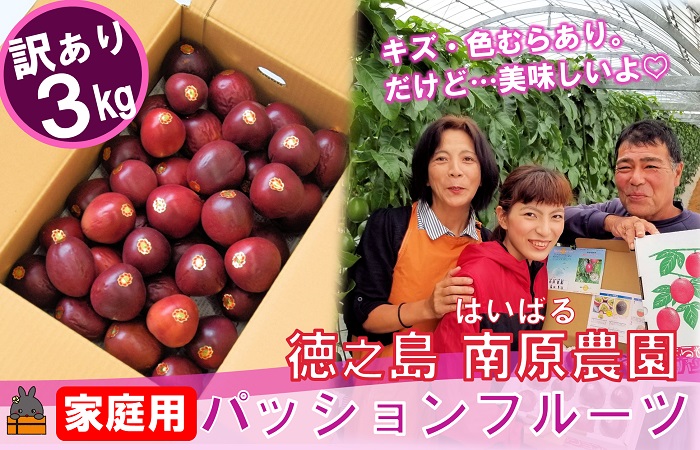 《今が旬！》【訳あり】南原(はいばる)農園さんの家庭用パッションフルーツ（約３kg） ( 訳有 わけあり 家庭用 キズ 色むら サイズ違い パッションフルーツ 果物 フルーツ 旬 南国 香り 奄美 徳之島 鹿児島 美味しい )