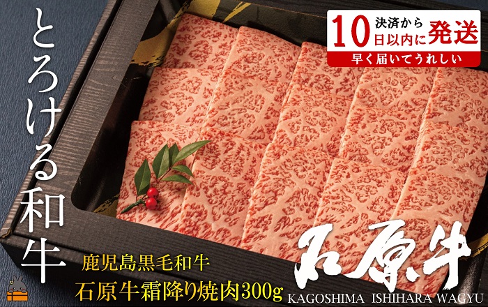 世界が絶賛した“とろける和牛”幻の石原牛 霜降り焼肉300g ( 鹿児島黒毛和牛 ブランド牛 牛肉 ビーフ こだわり プレミアム オメガ３脂肪酸 贈答 ギフト 徳之島 奄美 鹿児島 美味しい 霜降り 脂身 ステーキ 焼肉 BBQ 世界基準 石原PRO 決済後10日以内発送 )