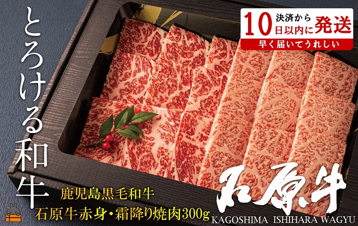 世界が絶賛した“とろける和牛”幻の石原牛 赤身・霜降り食べ比べ焼肉300g ( 鹿児島黒毛和牛 ブランド牛 牛肉 ビーフ こだわり プレミアム オメガ３脂肪酸 贈答 ギフト 徳之島 奄美 鹿児島 赤身 霜降り 脂身 ステーキ 焼肉 BBQ 世界基準 石原PRO 決済後10日以内発送 )