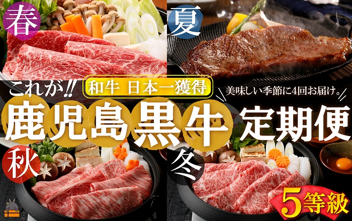 《和牛日本一獲得》5等級 これが!!鹿児島黒牛定期便 （年間4回お届け） ( 5等級 黒牛 黒毛和牛 牛肉 鹿児島 日本一 全国和牛能力共進会 徳之島 奄美 鹿児島 ステーキ すき焼き 定期便 ウデスライス サーロイン カタロース リブロース JA食肉かごしま )