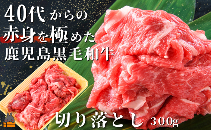 40代からの赤身を極めた鹿児島黒毛和牛切り落とし300g ( 厳選 赤身 プレミアム 高品質 鹿児島黒毛和牛 黒毛和牛 牛肉 万能 料理 徳之島 奄美 鹿児島 すき焼き しゃぶしゃぶ 高島屋 )