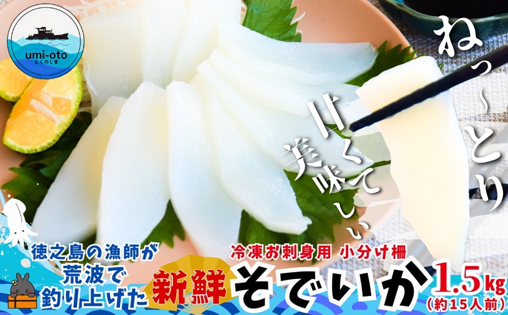 徳之島の漁師が荒波で釣り上げたそでいか 冷凍お刺身用小分け柵 1.5kg（約15人前） （ ソデイカ いか イカ 大型のいか 回遊 お刺身 甘い ねっとり 冷凍 新鮮 お寿司 料理 徳之島 奄美 沖縄 鹿児島 海鮮 umi-otoとくのしま ）