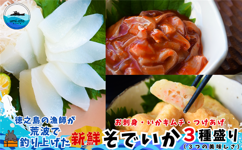 徳之島の漁師が荒波で釣り上げたそでいか 3種盛り お刺身・いかキムチ・つけあげ （ ３つの美味しさ ソデイカ いか イカ 大型のいか 回遊 お刺身 甘い ねっとり 冷凍 新鮮 お寿司 料理 徳之島 奄美 沖縄 鹿児島 海鮮 umi-otoとくのしま ）