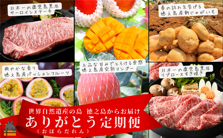 世界自然遺産の島 徳之島 ありがとう（おぼらだれん）定期便 ( 定期便 ５等級 鹿児島黒牛 果物 野菜 牛肉 フルーツ マンゴー パッションフルーツ じゃがいも 黒毛和牛 ステーキ すき焼き しゃぶしゃぶ 徳之島 奄美 鹿児島 旬 プレミアム )
