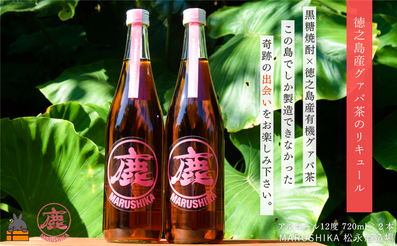 グァバの豊かな風味♪ 徳之島産有機グァバ茶リキュール 720ml×２本 (アルコール12度) ( 黒糖焼酎 酒 グァバ グァバ茶 松永酒造場 徳之島 奄美 鹿児島 福留農園 )