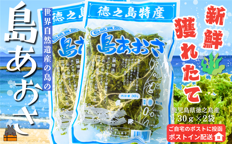  【2026年とれたて！】煌きの海からの恵み！島あおさ（2袋）【ポストイン配送】( アオサ あおさ のり 海苔 乾物 徳之島 奄美 鹿児島 お味噌汁 料理 てんぷら 卵焼き 美味しい 新鮮 )
