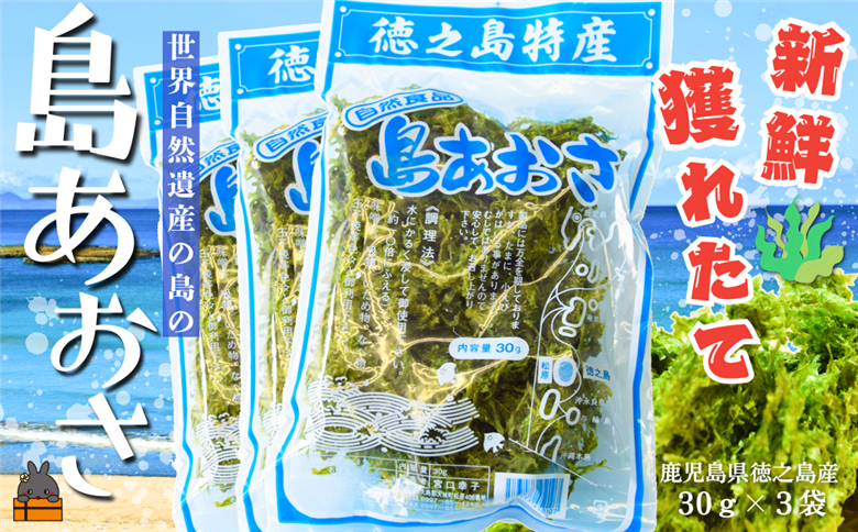 【2026年とれたて！】煌きの海からの恵み！島あおさ（3袋）( アオサ あおさ のり 海苔 乾物 徳之島 奄美 鹿児島 お味噌汁 料理 てんぷら 卵焼き 美味しい 新鮮 )