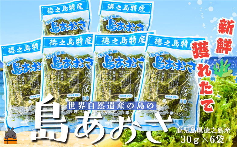 《2026年とれたて！》～煌めきの島から贈り物～徳之島産「島あおさ」（6袋）( アオサ のり 海苔 海産物 お味噌汁 食材 海 新鮮 徳之島 奄美 鹿児島 美味しい )