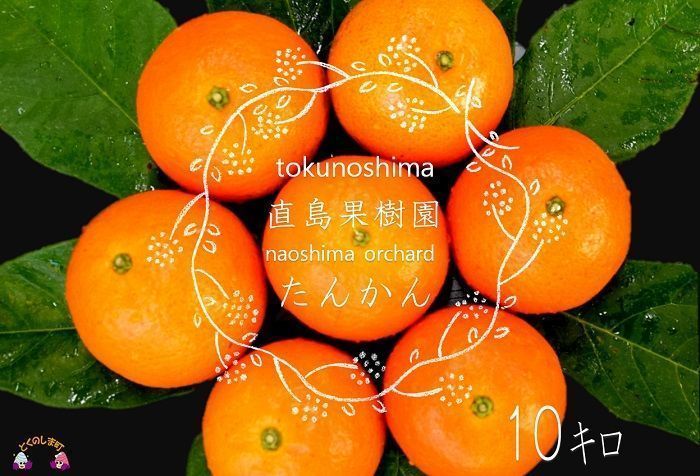 （贈答用）徳之島直島果樹園さんのたんかん１０ｋｇ