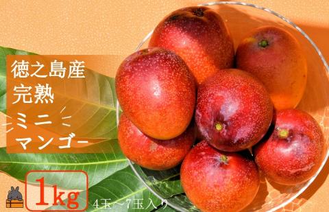 ≪今が旬！≫ティダ（太陽）の恵み！徳之島産完熟ミニマンゴー（1ｋｇ）