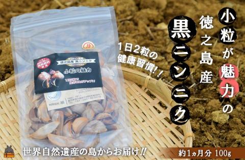 〜こだわりの小粒が魅力!〜徳之島産黒ニンニク(100g) ( にんにく 健康食品 黒にんにく 自家栽培 徳之島 奄美 世界自然遺産 野菜 こだわり 完熟肥料 長寿 デコチャン農園 レターパック配送 )