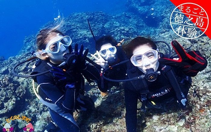 さぁ徳之島の海へ旅しよう。ダイビング体験半日