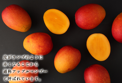 【2026年発送】【先行受付】徳之島 天城町産 宝果樹園 完熟マンゴー ご家庭用 マンゴー 1kg AT-21-N