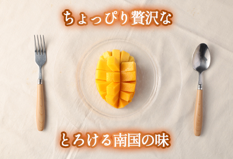 【2026年発送】【先行受付】徳之島 天城町【贈答用】島マンゴー園 完熟マンゴー Ａ品 1kg マンゴー フルーツ BA-1-N