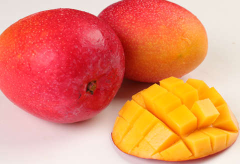 【2026年発送】【先行受付】徳之島 天城町産 完全無加温 完熟 マンゴー Ａ品 1kg 贈答