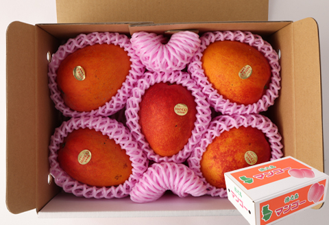 【2026年発送】【先行受付】徳之島 天城町産 宝果樹園 完熟マンゴー ご家庭用 2kg マンゴー AT-22-N