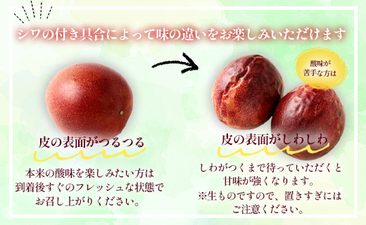 【2026年発送】先行受付 徳之島 天城町 吉川果樹園 パッションフルーツ 家庭用 1kg  トロピカルフルーツ フルーツ パッション 自宅用 AB-29-N