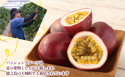 【2026年発送】先行受付 徳之島 天城町 吉川果樹園 パッションフルーツ 家庭用 6kg トロピカルフルーツ フルーツ パッション 自宅用 AB-33