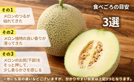 徳之島 天城町 吉川果樹園 アールスメロン 3Lサイズ 2玉 メロン マスクメロン