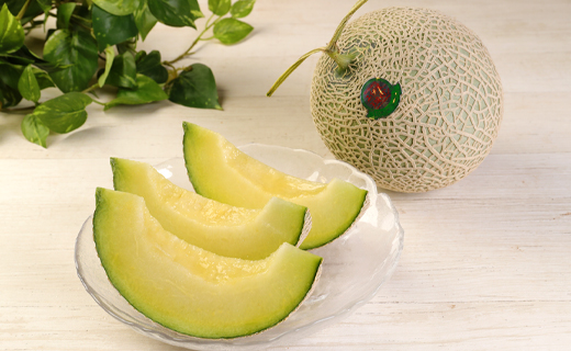 【2024年12月発送】徳之島 天城町産 農家直送 アールスメロン メロン マスクメロン L×2玉 AJ-21-N