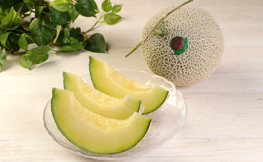 【2024年12月発送】徳之島 天城町産 農家直送 アールスメロン メロン マスクメロン 3L×2玉 AJ-26-N