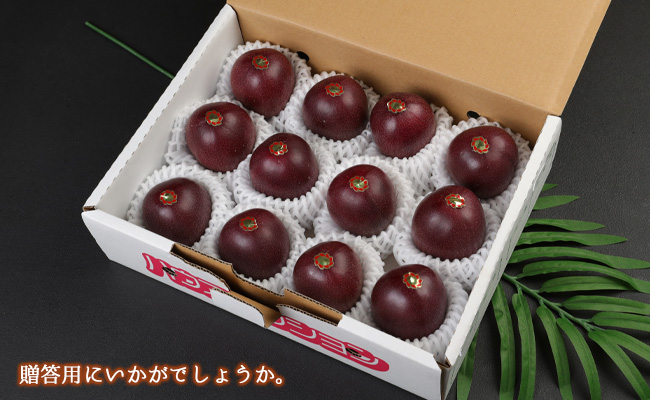 【2026年発送】先行受付 徳之島 天城町産 パッションフルーツ A品１kg トロピカルフルーツ AJ-3-N