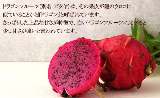 【2026年発送分】ご家庭用 徳之島 天城町産ドラゴンフルーツ 赤色 約2kg ピタヤ AJ-4-N
