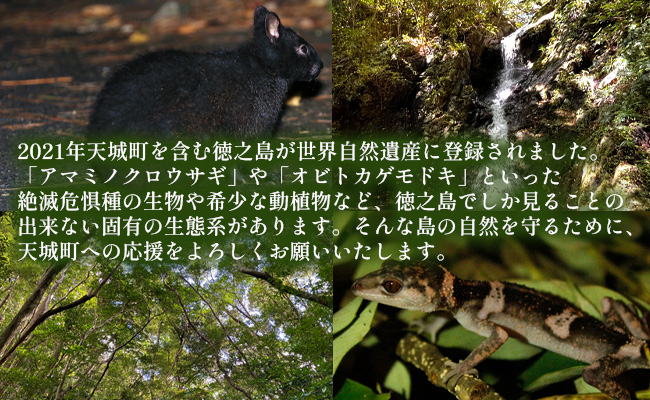 【返礼品なし】天城町 への寄付 （1口： 10,000円 ）鹿児島 徳之島 天城町 寄附 応援 支援 寄付のみ 返礼品なし