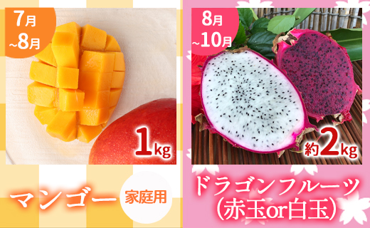 【年5回発送】徳之島 天城町から 島のフルーツ 定期便 タンカン パッションフルーツ マンゴー ドラゴンフルーツ メロン フルーツ AK-63-N