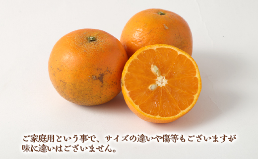 【鹿児島天城町】林果樹園 徳之島産 タンカン【ご家庭用】混合サイズ 10kg 柑橘 タンカン みかん AZ-2-N