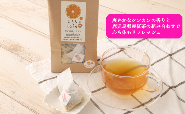 【徳之島産】 たんかん紅茶 2パックセット (4g×5包)×2パック タンカン 紅茶 ティーパック C-14