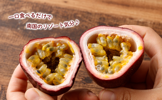 【2026年発送】先行受付 天城町 南部ガーデン パッションフルーツ 家庭用 3kg 果物 果実 フルーツ 常温 国産 九州 鹿児島県 天城町