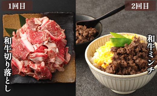 【6回定期便】鹿児島黒牛 バラエティセット 焼肉 すき焼き ステーキ バラスライス 和牛ミンチ ハンバーグ 鹿児島牛 鹿児島黒牛 黒牛 ロース カルビ バラ 冷凍 定期便 6回