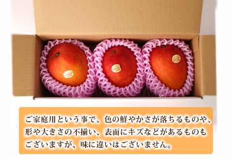 【2026年発送】【先行受付】徳之島 天城町産 宝果樹園 完熟マンゴー ご家庭用 マンゴー 1kg AT-21-N