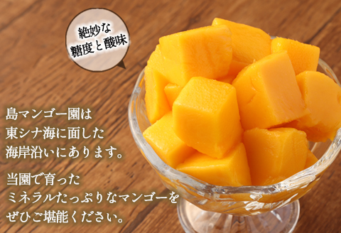 【2026年発送】【先行受付】【ご家庭用】徳之島 天城町 島マンゴー園 完熟マンゴー 2kg マンゴー フルーツ BA-4-N