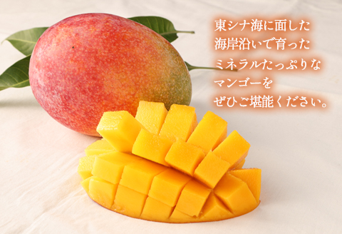 【2026年発送】【先行受付】徳之島 天城町【贈答用】島マンゴー園 完熟マンゴー Ａ品 1kg マンゴー フルーツ BA-1-N