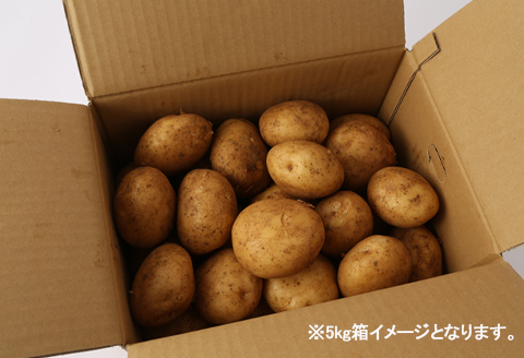【先行受付】徳之島 天城町産 赤土ばれいしょ 新じゃが 春一番 5kg L～2L 混合サイズ ジャガイモ じゃがいも バレイショ