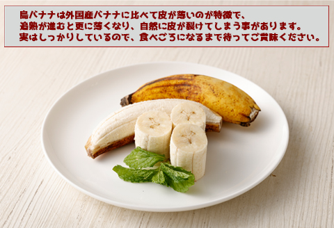 【鹿児島県天城町】【2026年発送】徳之島子宝バナナ 3kg 島バナナ バナナ  AL-10-N