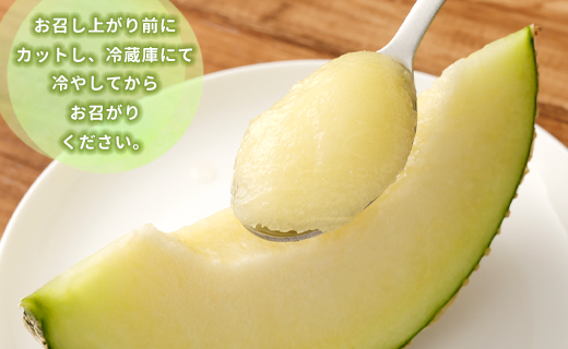 徳之島 天城町 吉川果樹園 アールスメロン Lサイズ 2玉 メロン マスクメロン