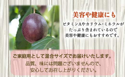 【2026年発送】先行受付 パッションフルーツ 家庭用1kg 果物 フルーツ トロピカルフルーツ AJ-27