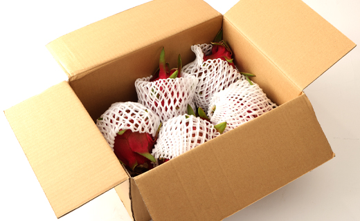 【2026年発送分】ご家庭用 徳之島 天城町産ドラゴンフルーツ 白色 約2kg ピタヤ AJ-35