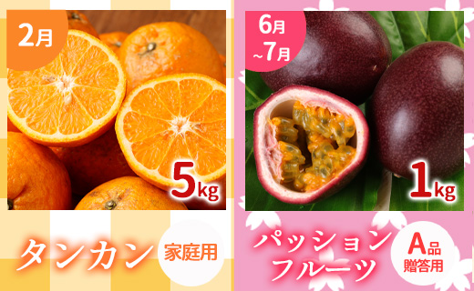 【年5回発送】徳之島 天城町から 島のフルーツ 定期便 タンカン パッションフルーツ マンゴー ドラゴンフルーツ メロン フルーツ AK-63-N