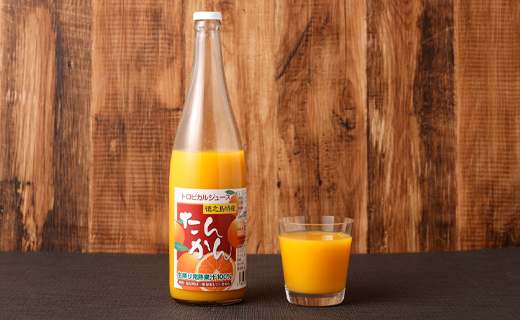 天城町産 果汁100％ 宝果樹園 タンカンジュース 2本セット(720ml×2) タンカン 果汁飲料