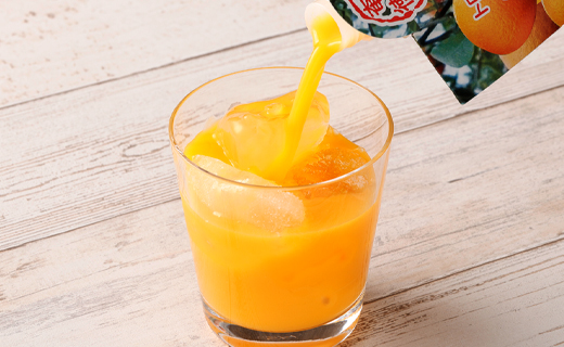 天城町産  生搾り完熟果汁100％ 宝果樹園 ミニタンカンジュース 8本セット（200ml×8本） 合計約1.6L タンカン 果汁飲料 たんかん 果汁100％ ジュース 飲み物 ドリンク 果物 くだもの セット 九州 鹿児島県 天城町 常温