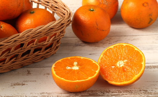 【鹿児島天城町】林果樹園 徳之島産 タンカン【ご家庭用】混合サイズ 10kg 柑橘 タンカン みかん AZ-2-N