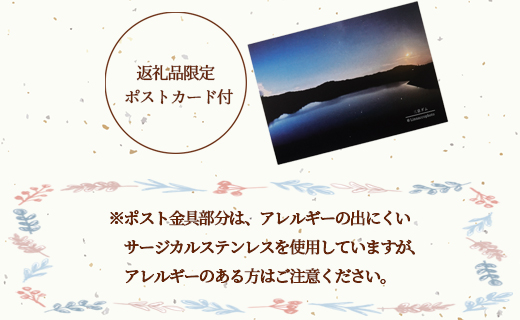 鹿児島県 天城町 土星 イヤリング ターコイズ 1個 天然石ビーズ パワーストーン 両耳用 サージカルステンレス 幅2cm アクセサリー ファッション レディース 宇宙 女性