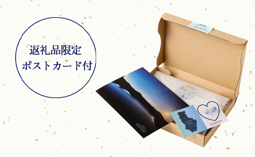 星砂と貝殻の ピアス 1個  天然石ビーズ パワーストーン 両耳用 サージカルステンレス 幅2cm ニッケルフリー アクセサリー ファッション レディース 女性 貝殻 星砂 鹿児島県 天城町