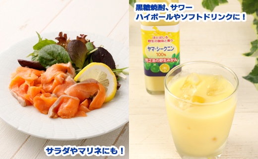 徳之島 天城町 ヤマ・シークニン シークヮーサー 100％ 果汁 調味料 300ml×2本セット M-6-N