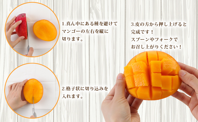 【2026年発送】【先行受付】徳之島 天城町産 完全無加温 完熟 マンゴー Ａ品 2kg 贈答