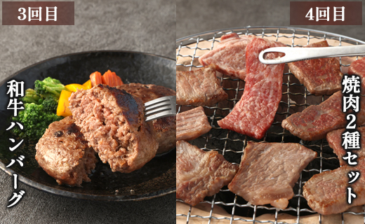 【6回定期便】鹿児島黒牛 バラエティセット 焼肉 すき焼き ステーキ バラスライス 和牛ミンチ ハンバーグ 鹿児島牛 鹿児島黒牛 黒牛 ロース カルビ バラ 冷凍 定期便 6回